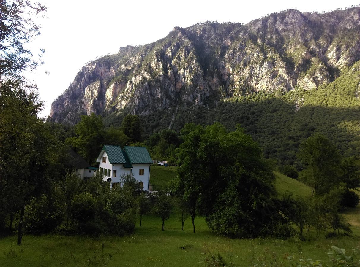 Vila Montana Dobrilovina Eksteriør billede